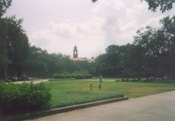 LSU