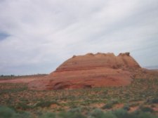 Arizona