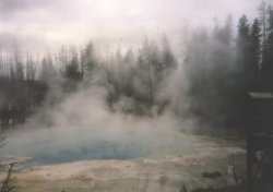 Geysir