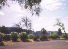 am Ufer des Lake Mead
