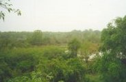 im Naturpark